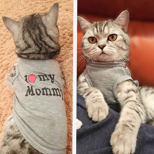 Cute Cat Clothes